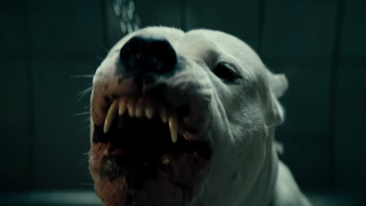 Dogman — backdrops 3