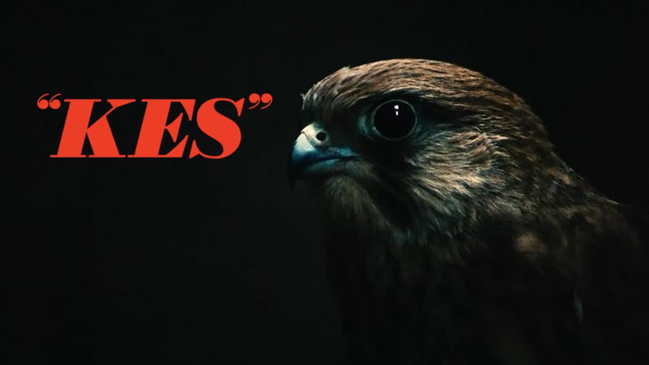 Kes — backdrops with title 1