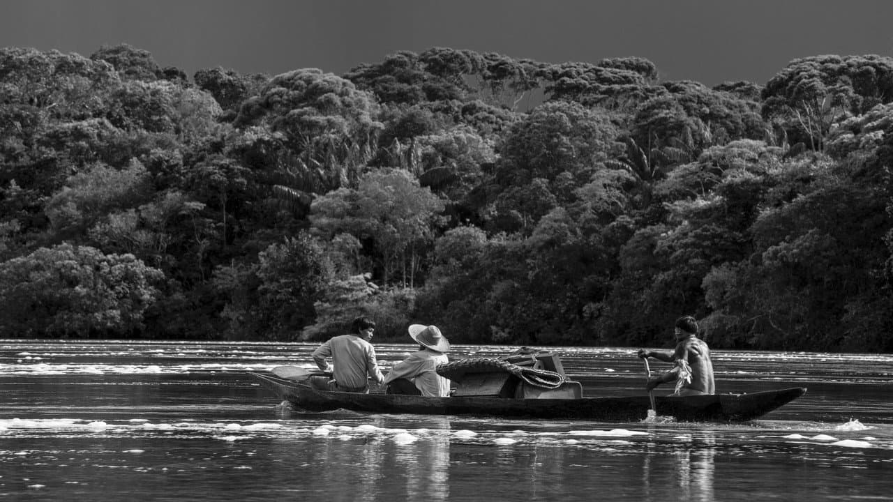 Embrace of the Serpent — backdrops 3