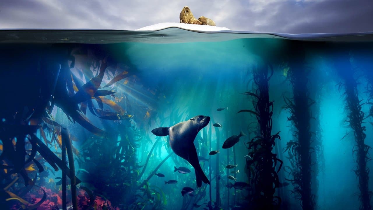 Blue Planet II — backdrops 8