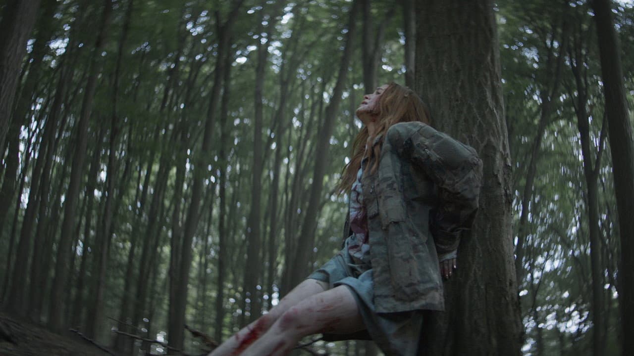 The Strangers: Chapter 2 — backdrops 5