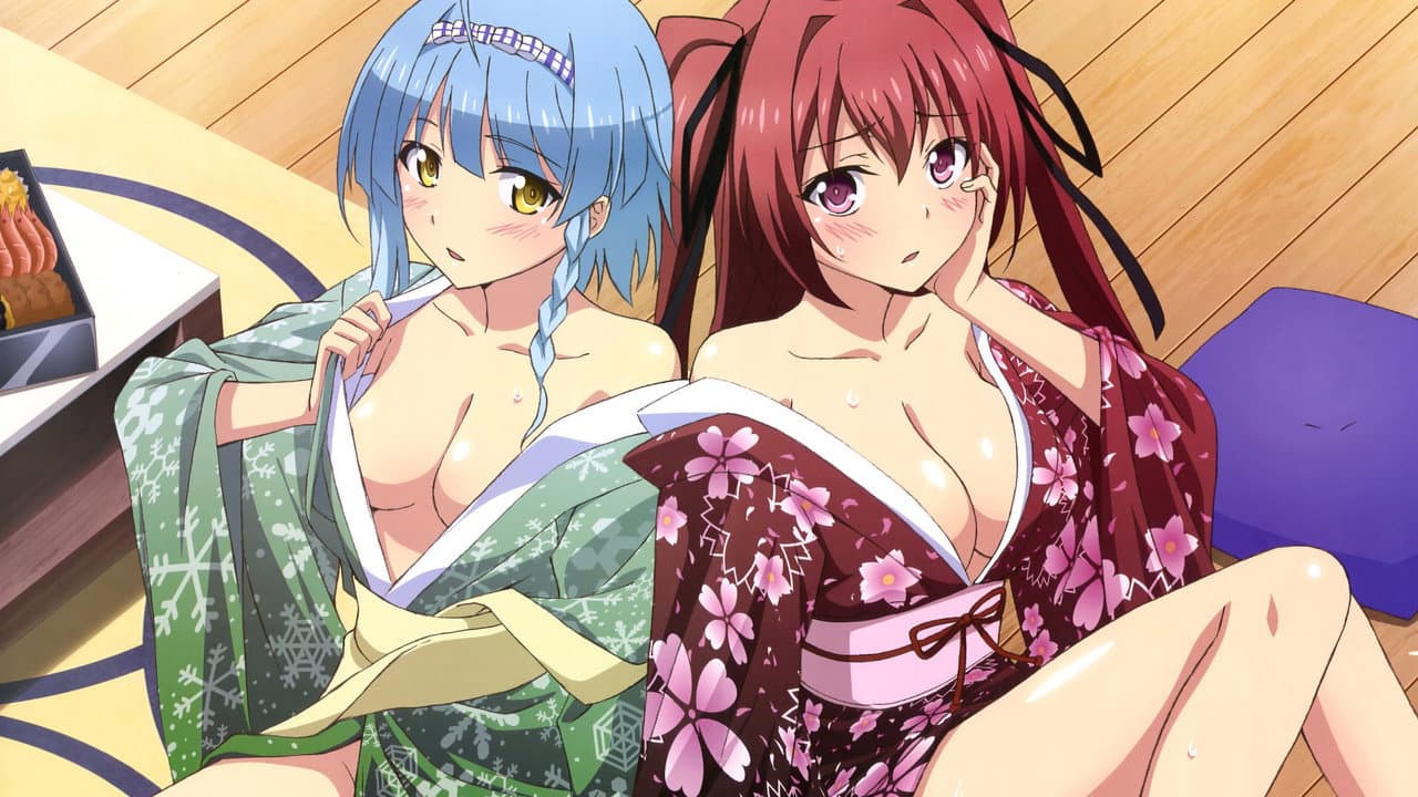The Testament of Sister New Devil — backdrops 4
