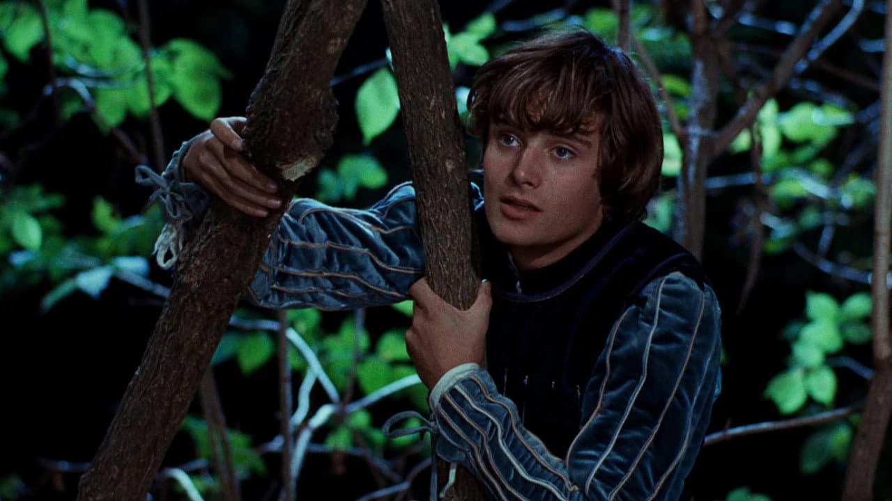 Romeo and Juliet — backdrops 8
