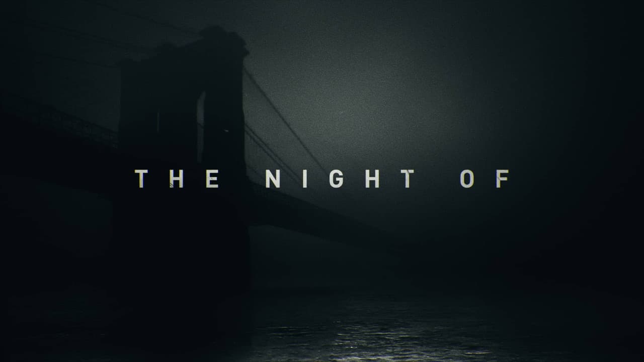 The Night Of — backdrops with title 4