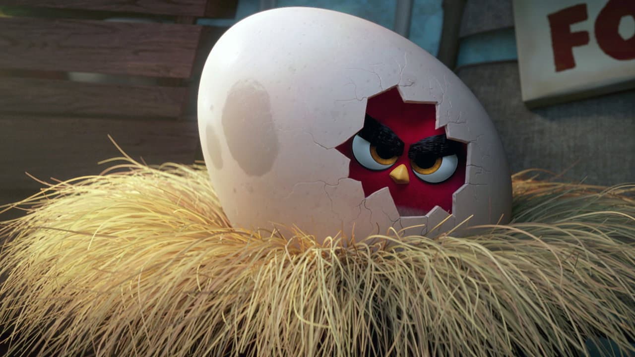 The Angry Birds Movie — backdrops 8