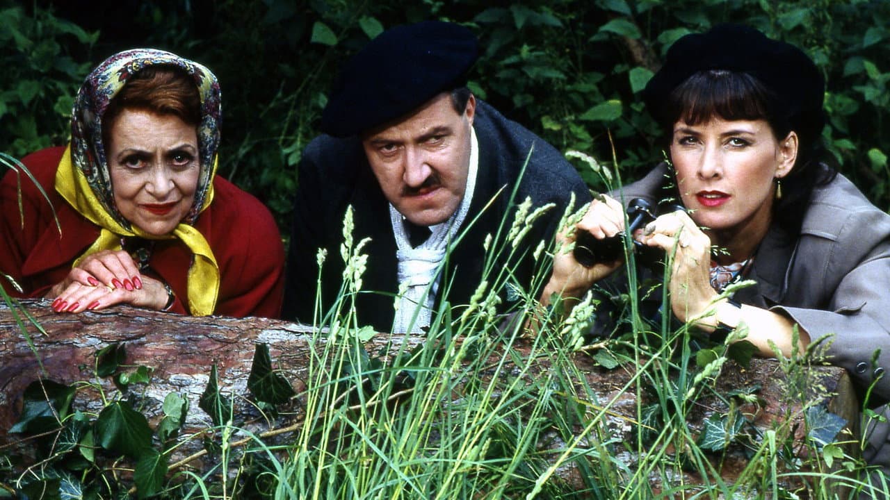 'Allo 'Allo! — backdrops 3