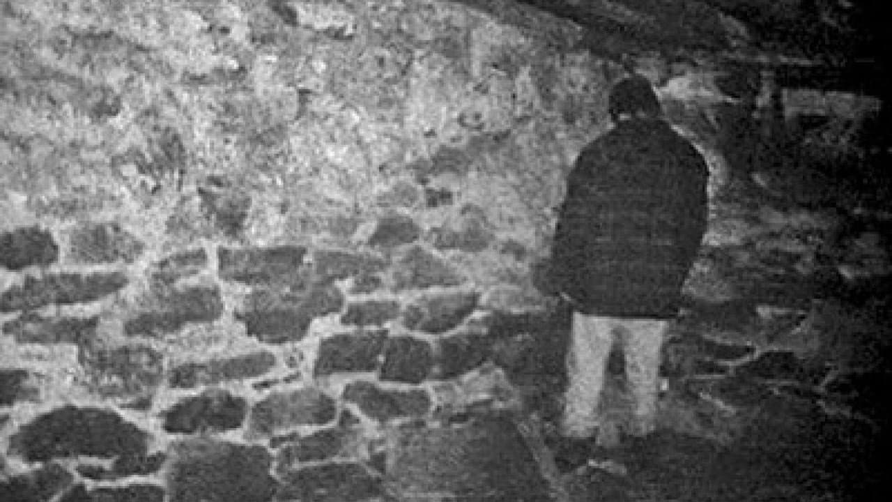 The Blair Witch Project — backdrops 4