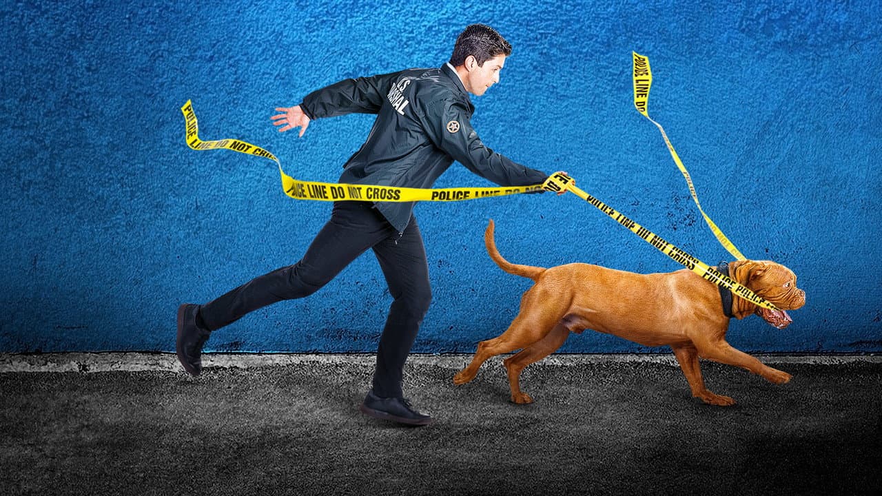 Turner & Hooch — backdrops 4