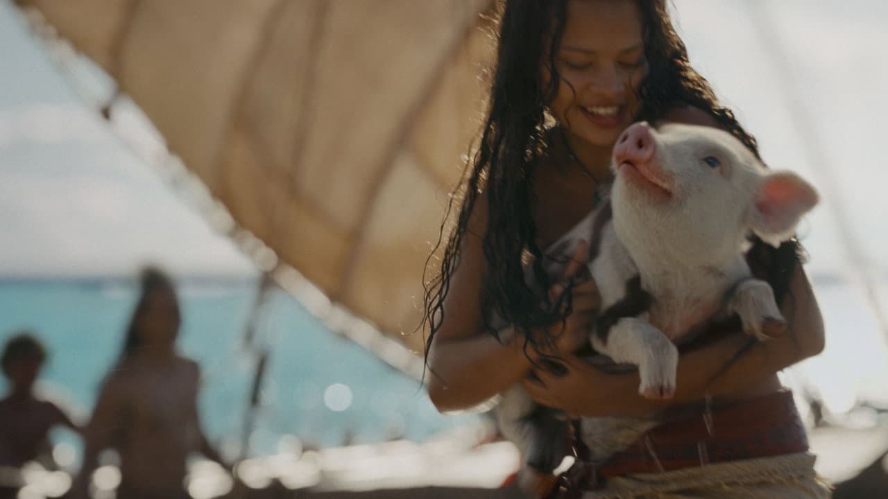 Moana — backdrops 5