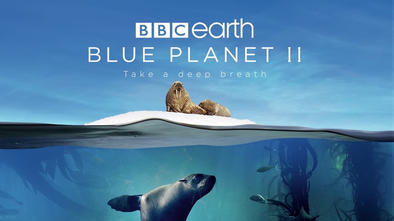 Blue Planet II — backdrops with title 4