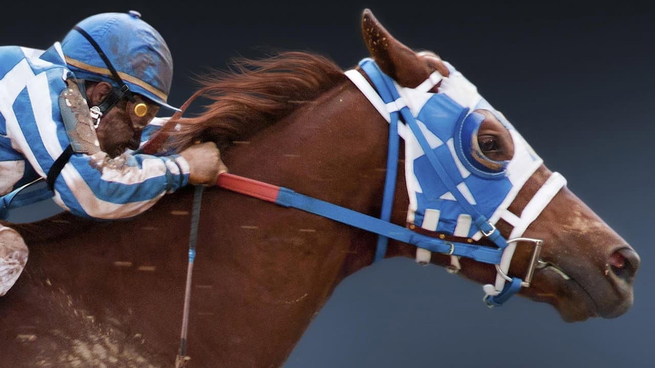 Secretariat — backdrops 5