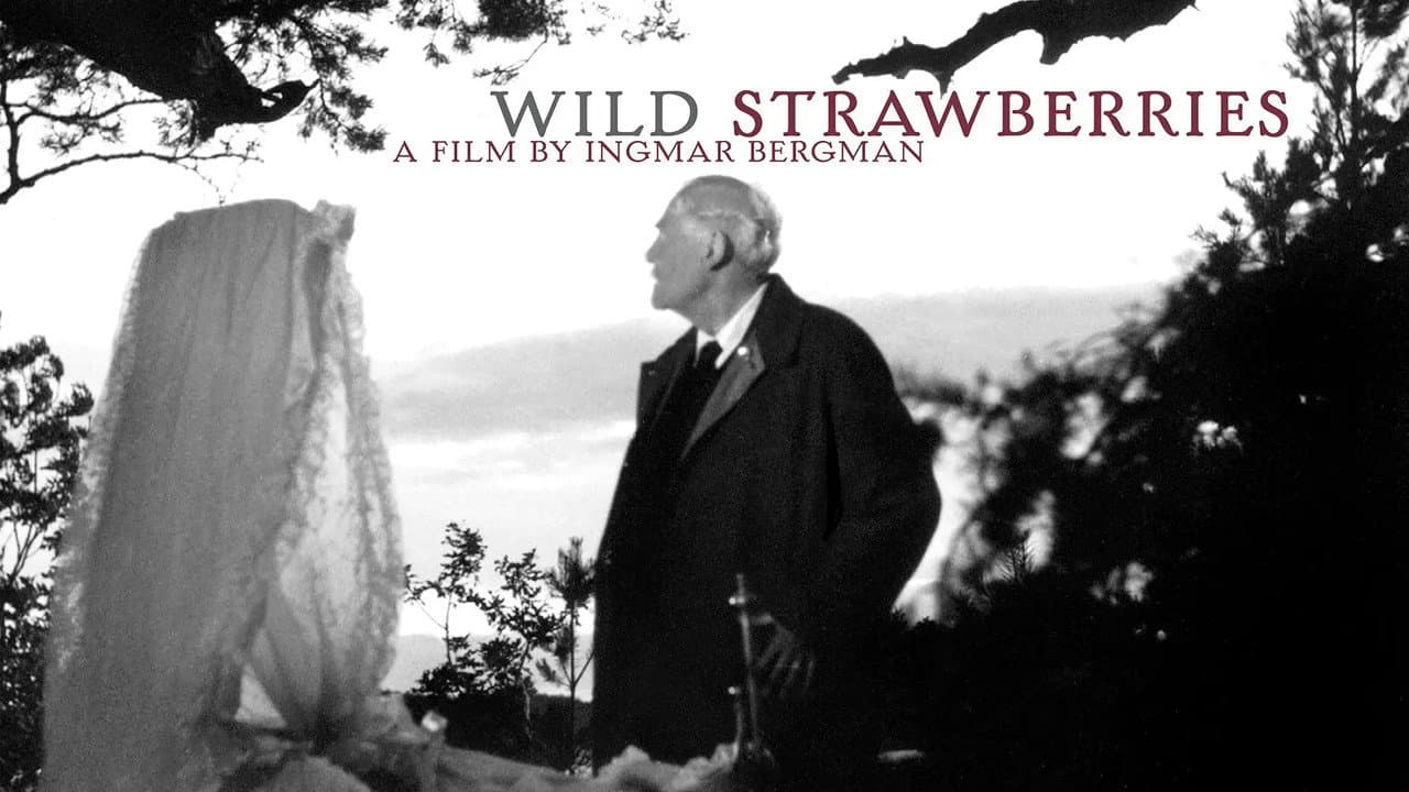 Wild Strawberries — backdrops with title 2
