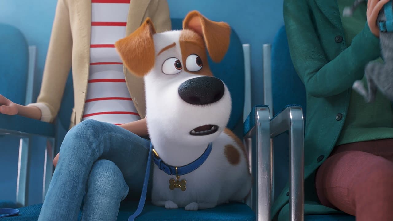 The Secret Life of Pets 2 — backdrops 2