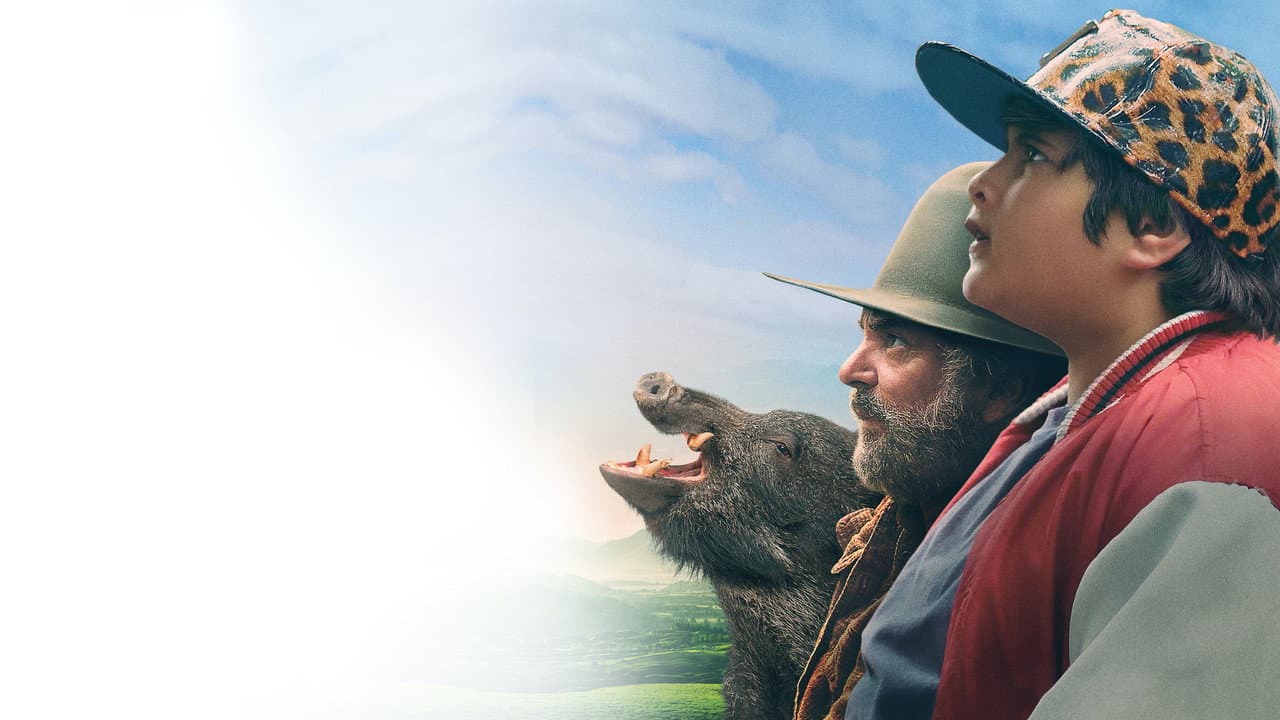 Hunt for the Wilderpeople — backdrops 4