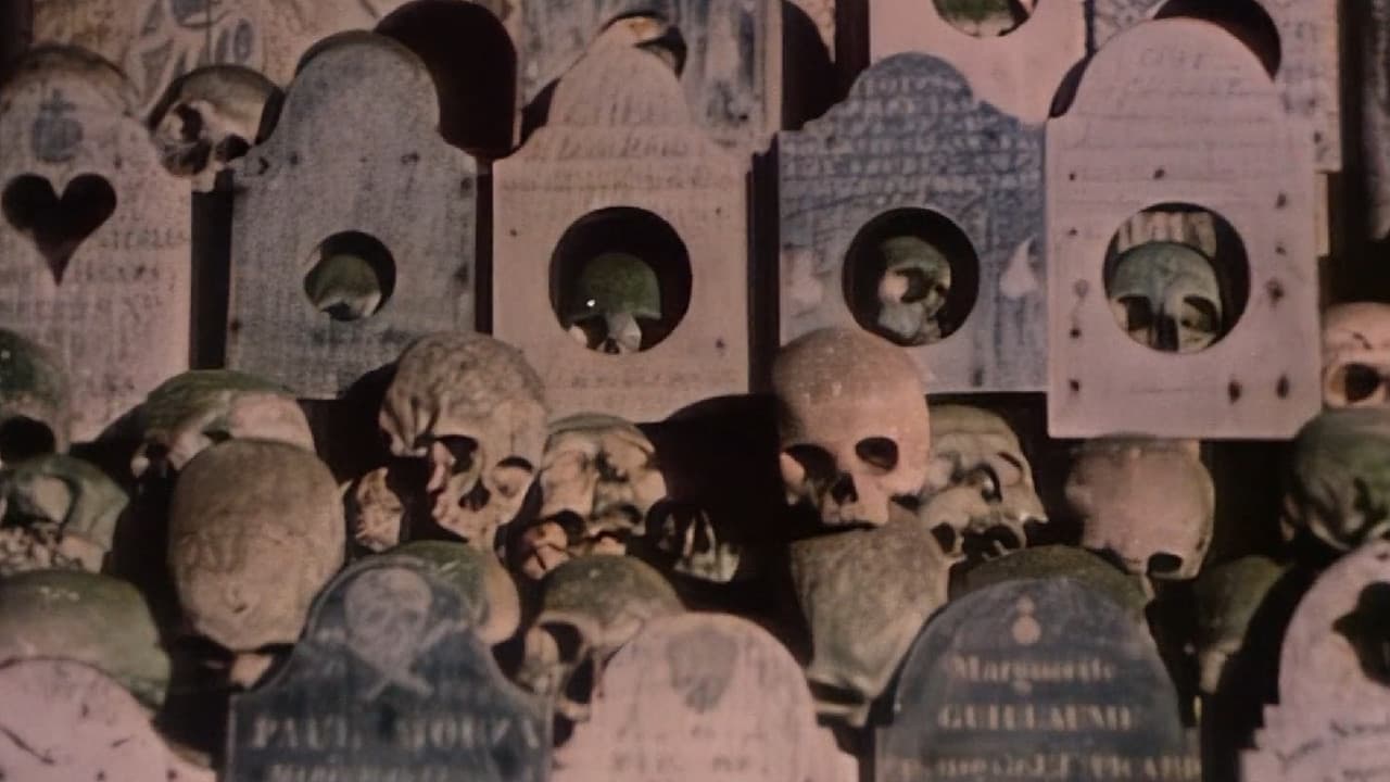 Faces of Death II — backdrops 1