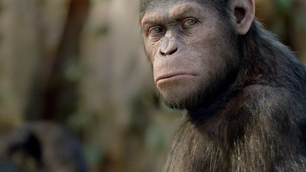 Rise of the Planet of the Apes — backdrops 6