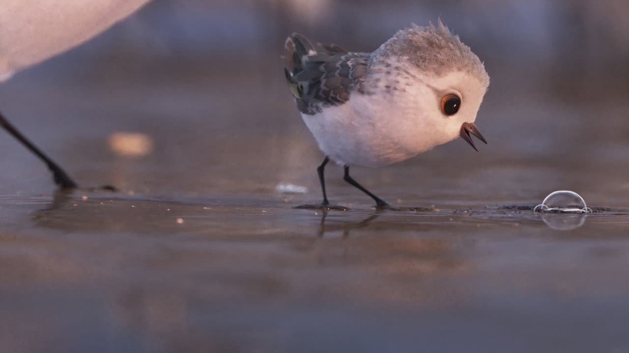 Piper — backdrops 3