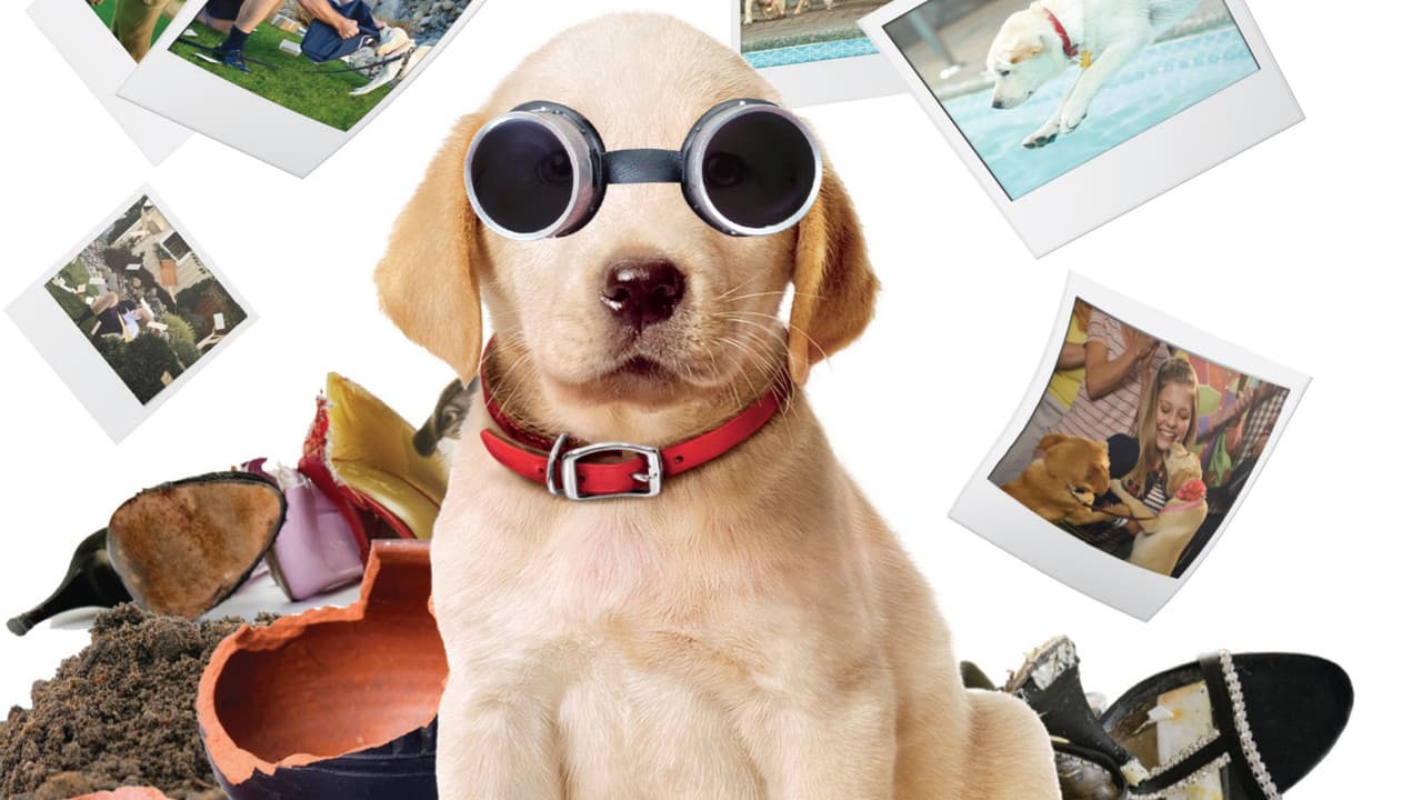 Marley & Me: The Puppy Years — backdrops 1