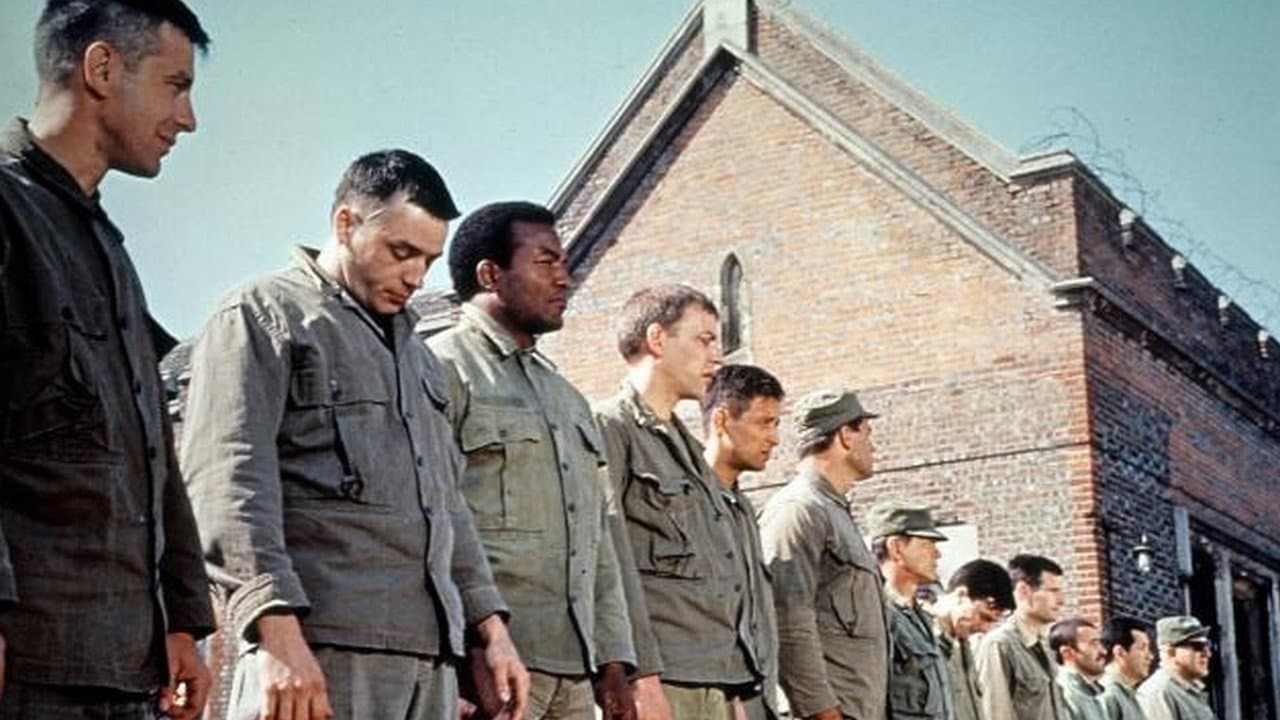 The Dirty Dozen — backdrops 8