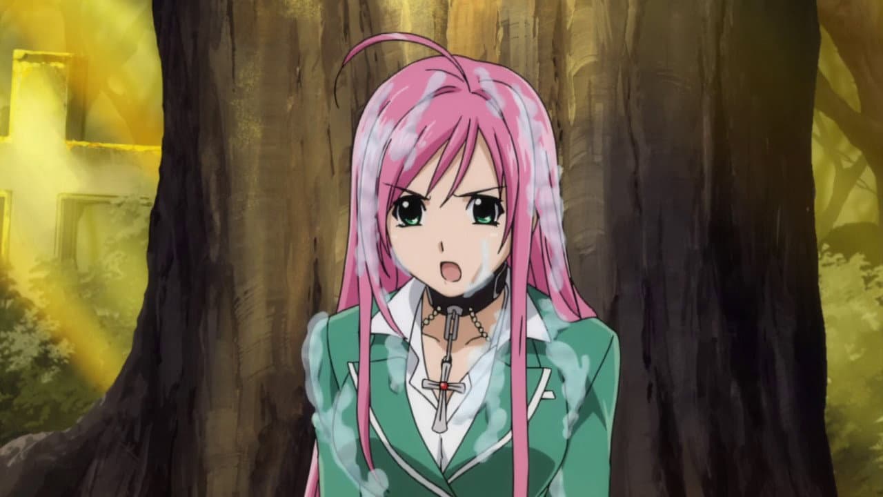 Rosario + Vampire — backdrops 8