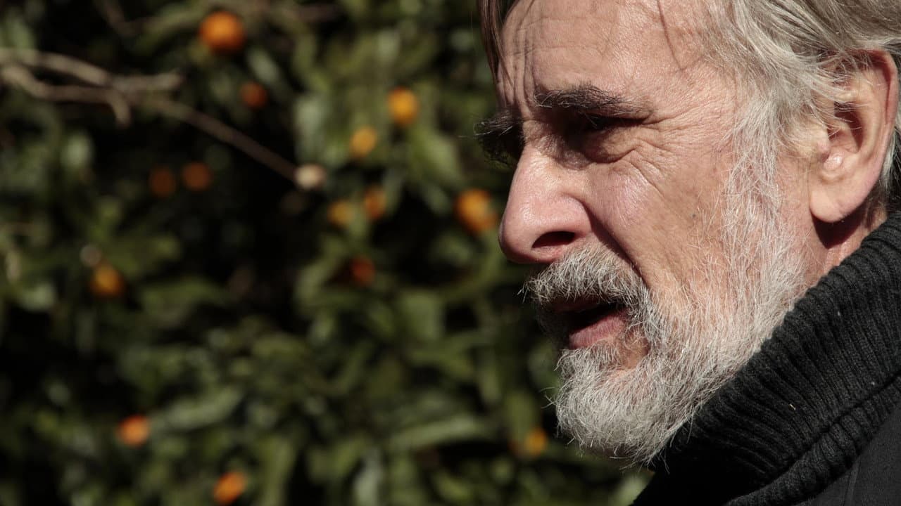 Tangerines — backdrops 1