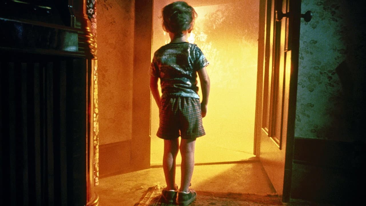 Close Encounters of the Third Kind — backdrops 7