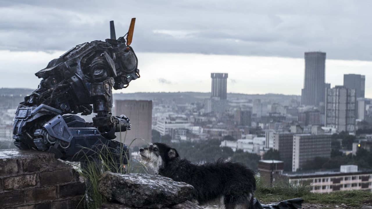 Chappie — backdrops 4