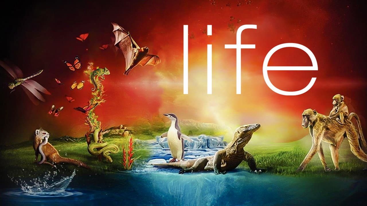 Life — backdrops with title 5