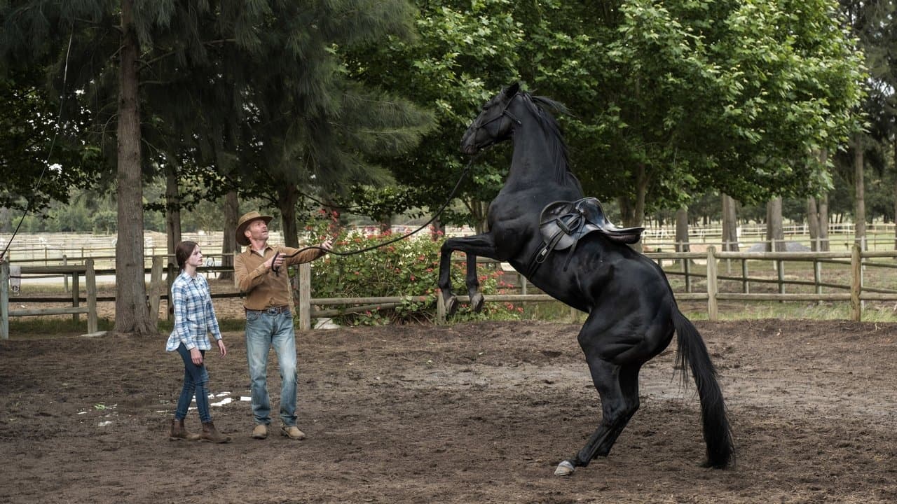 Black Beauty — backdrops 1