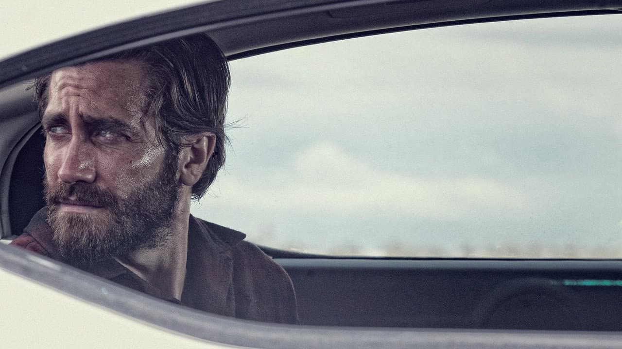 Nocturnal Animals — backdrops 7