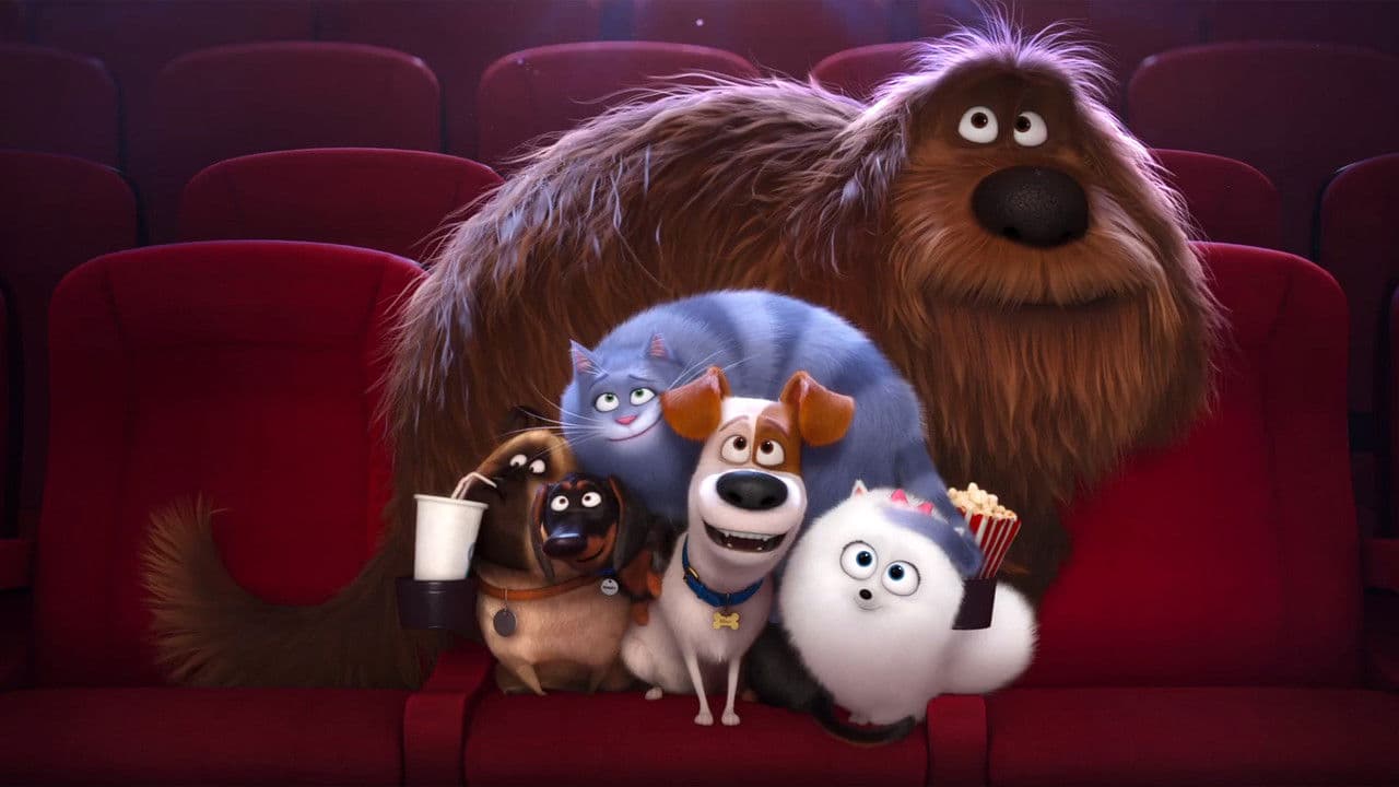 The Secret Life of Pets — backdrops 4