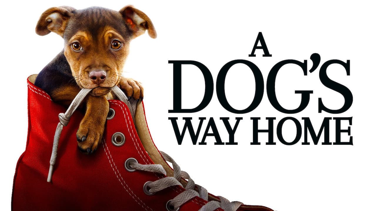 A Dog's Way Home — backdrops with title 2