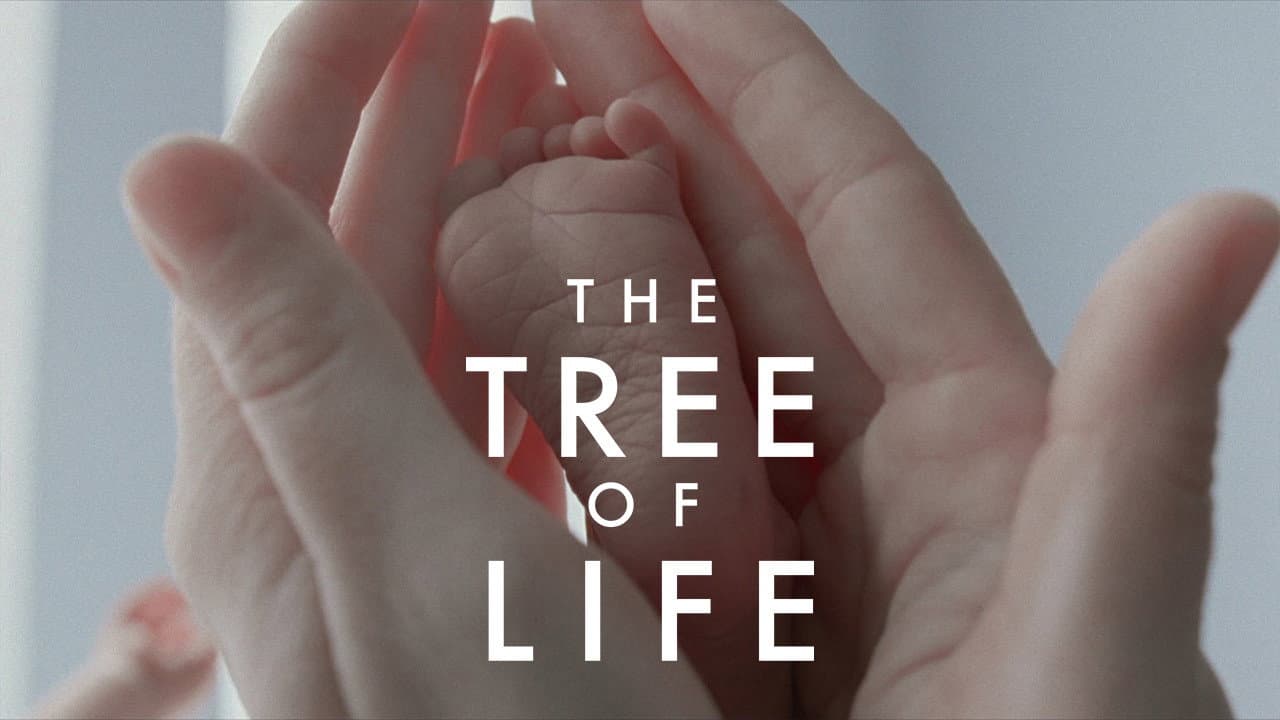 The Tree of Life — backdrops with title 2