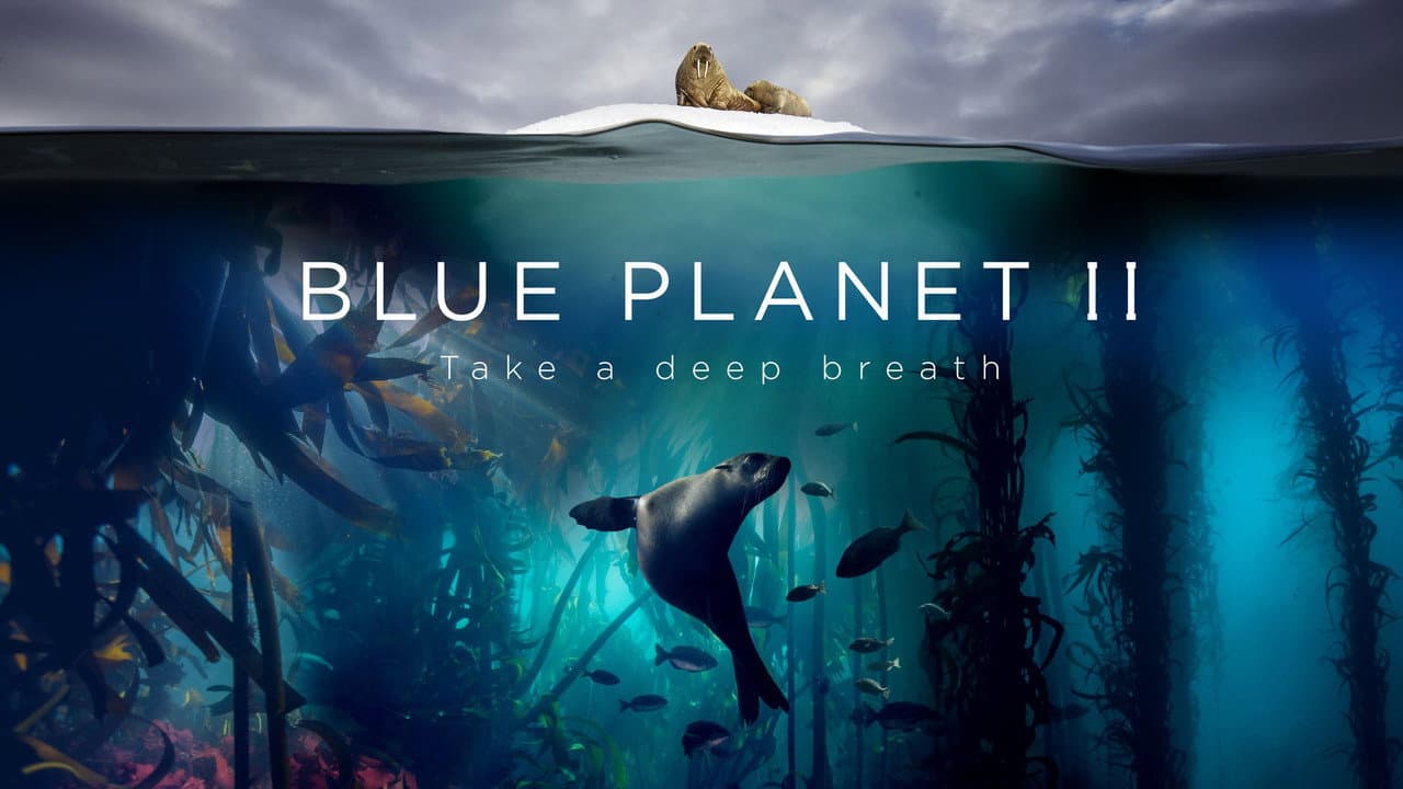 Blue Planet II — backdrops with title 2