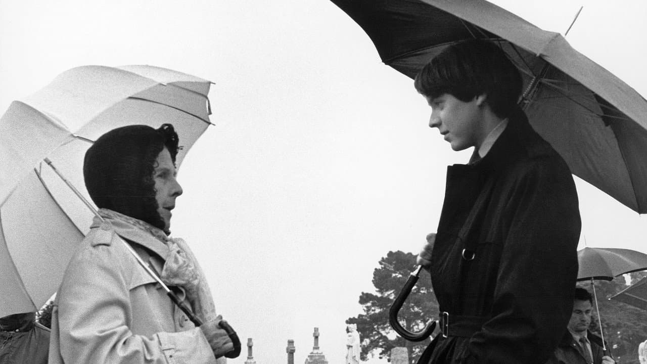 Harold and Maude — backdrops 3