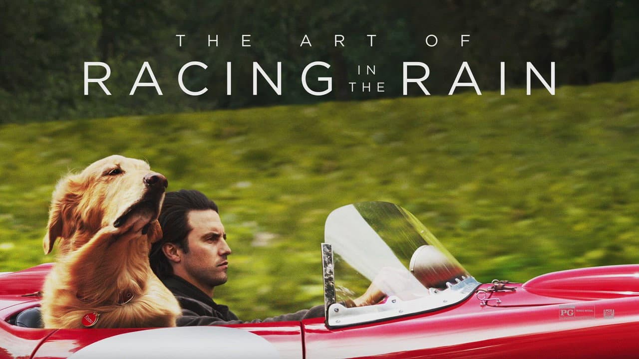 The Art of Racing in the Rain — backdrops with title 3