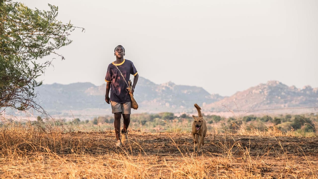 The Boy Who Harnessed the Wind — backdrops 6