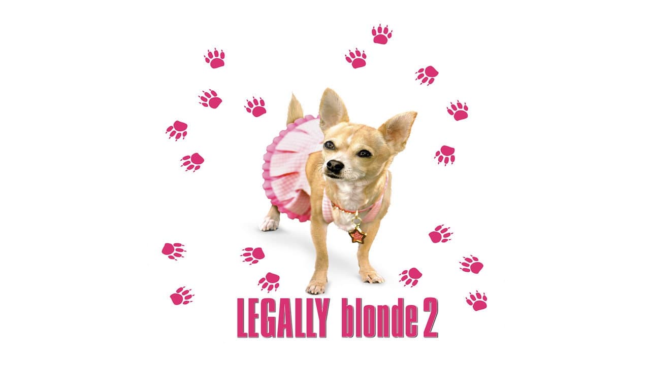 Legally Blonde 2: Red, White & Blonde — backdrops with title 4