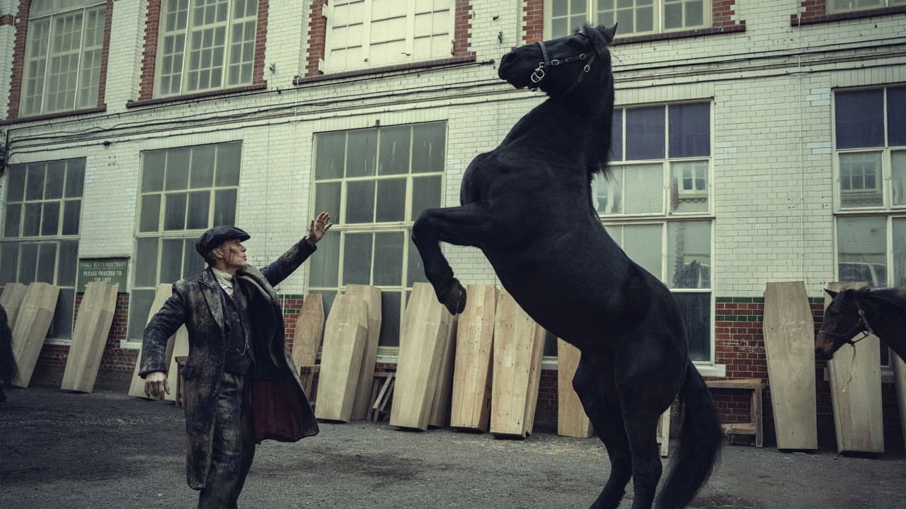 Peaky Blinders: The Immortal Man — backdrops 5