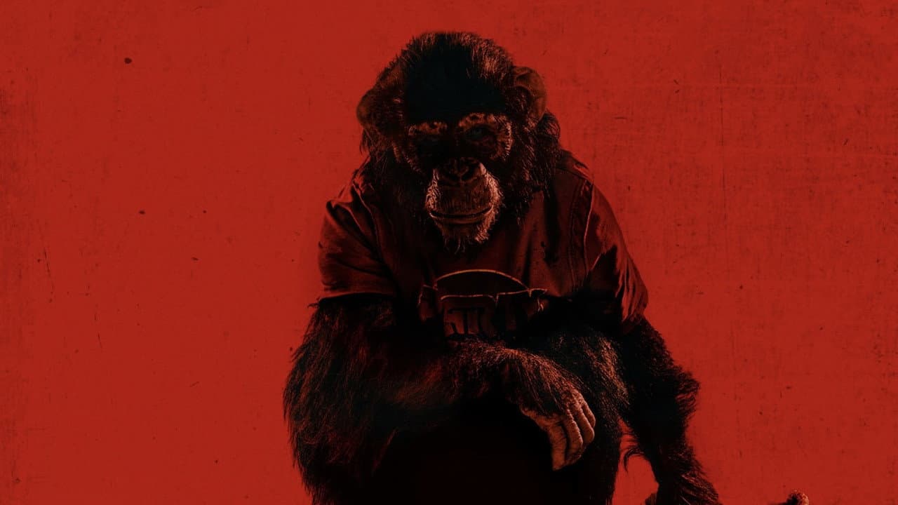 Primate — backdrops 4