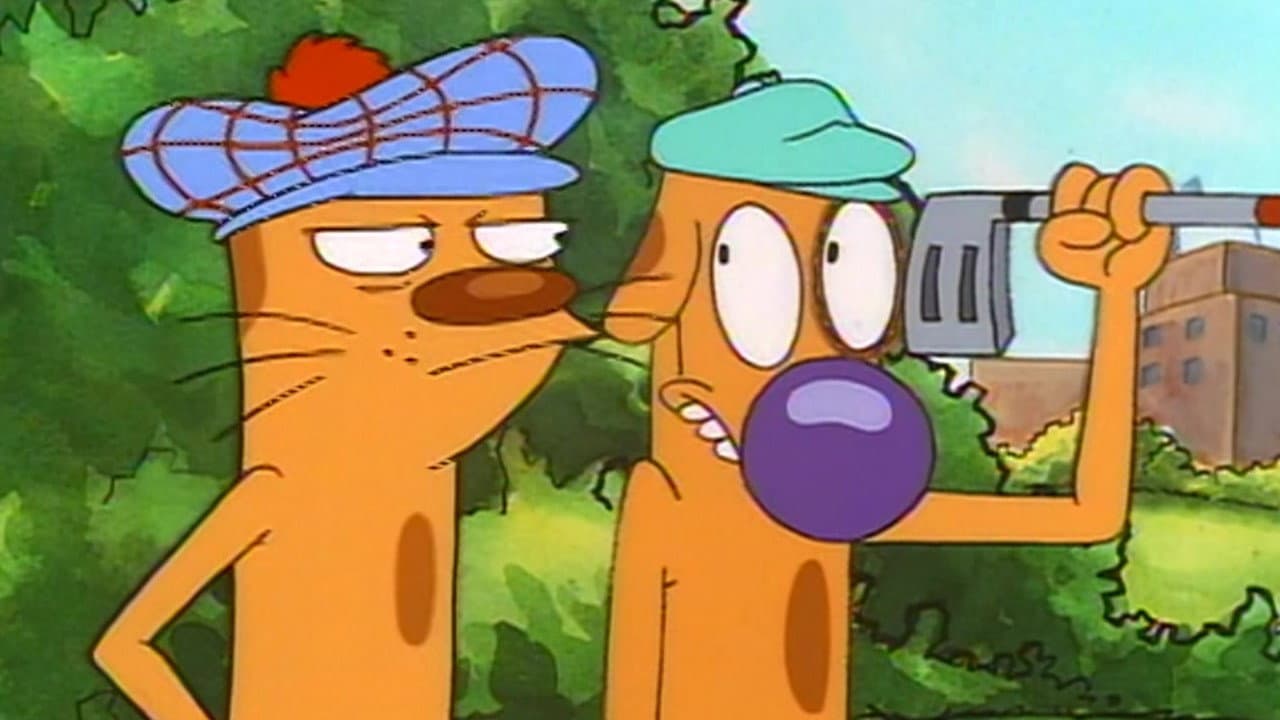 CatDog — backdrops 4
