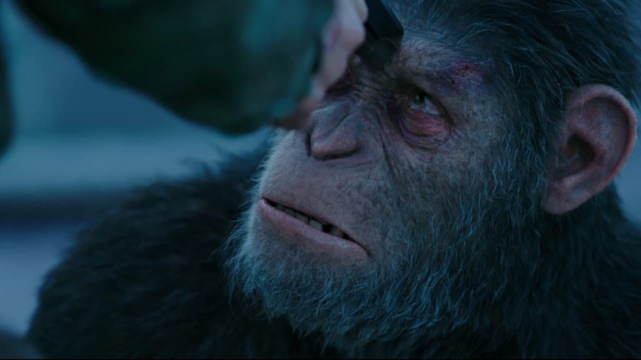 War for the Planet of the Apes — backdrops 3