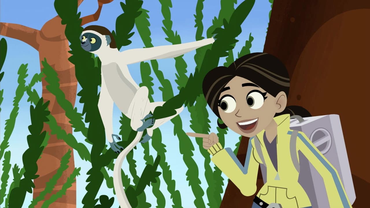 Wild Kratts — backdrops 5