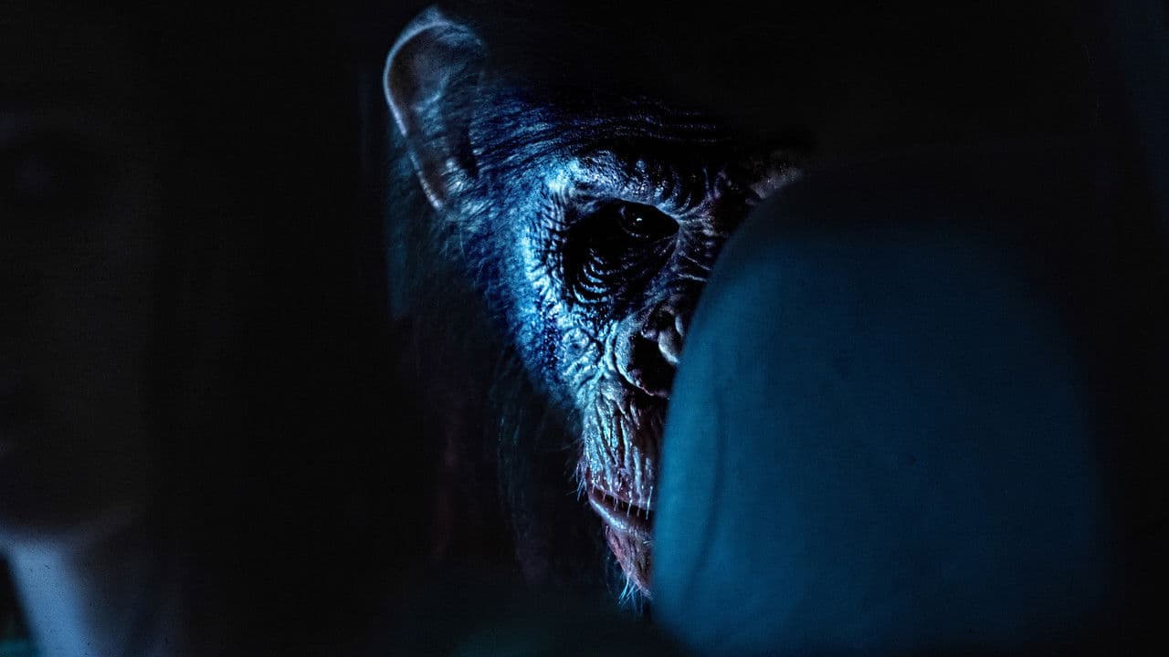 Primate — backdrops 2