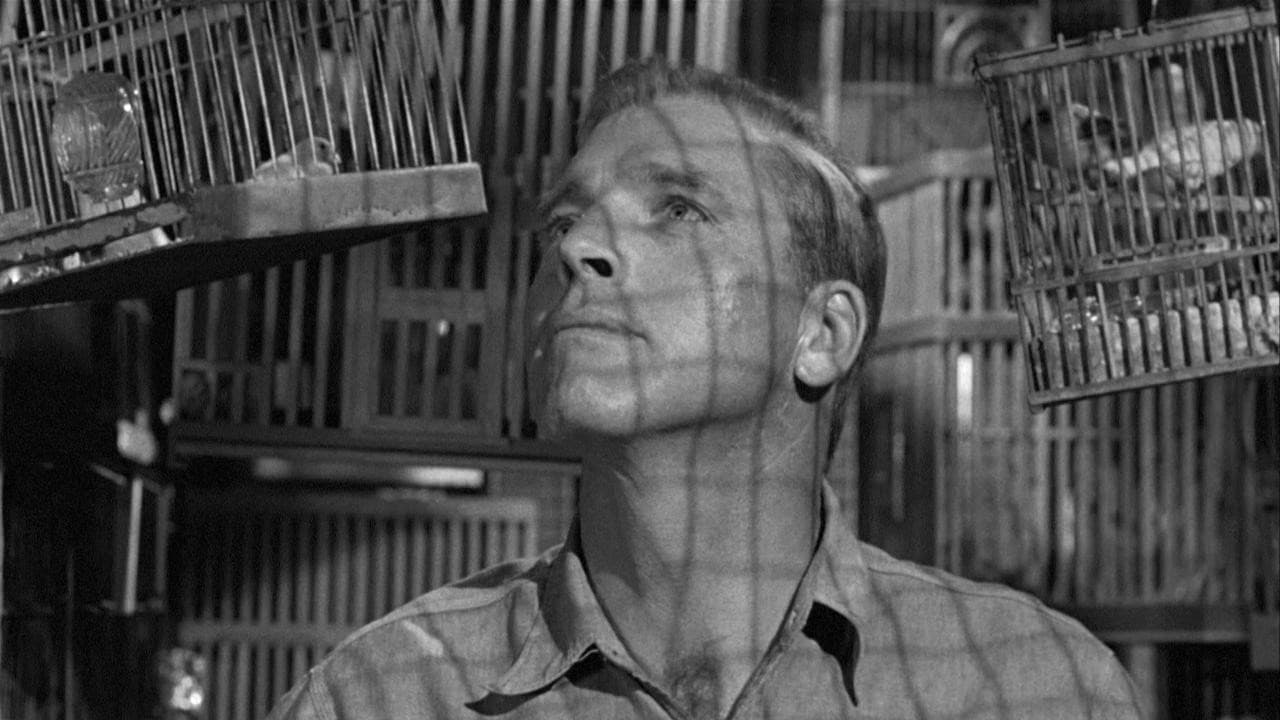Birdman of Alcatraz — backdrops 7