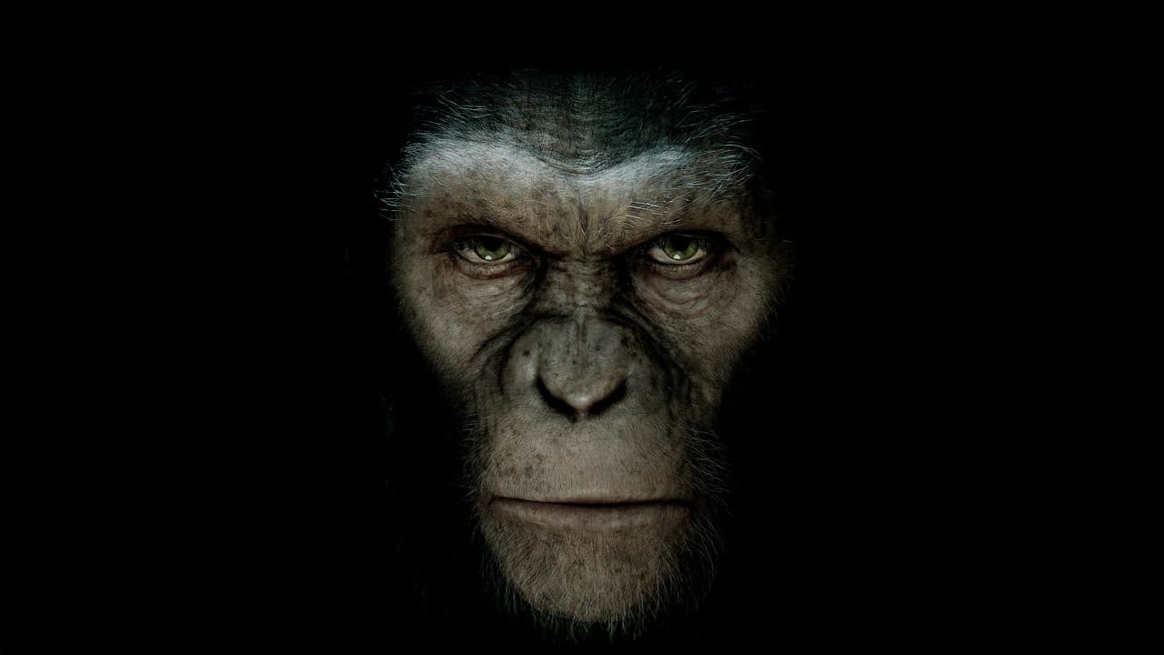 Rise of the Planet of the Apes — backdrops 8