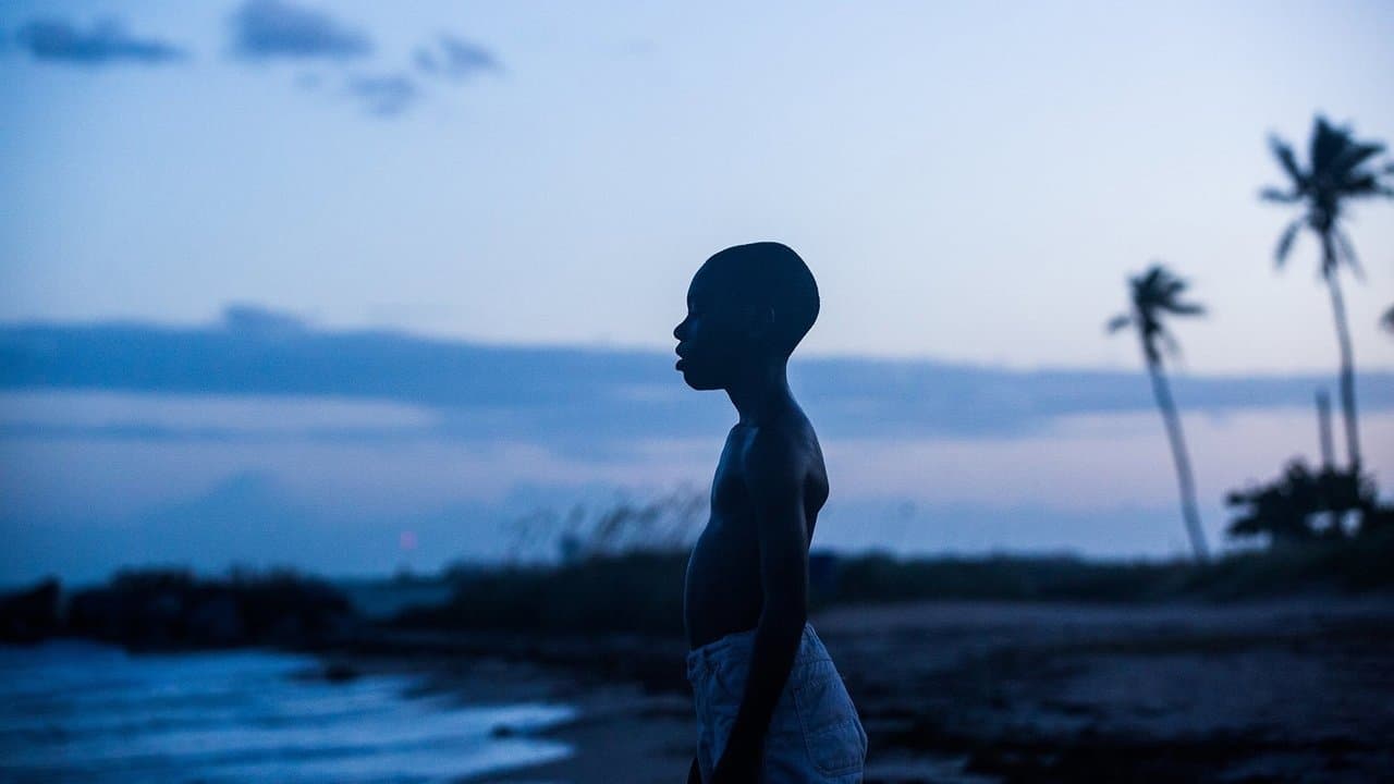Moonlight — backdrops 4
