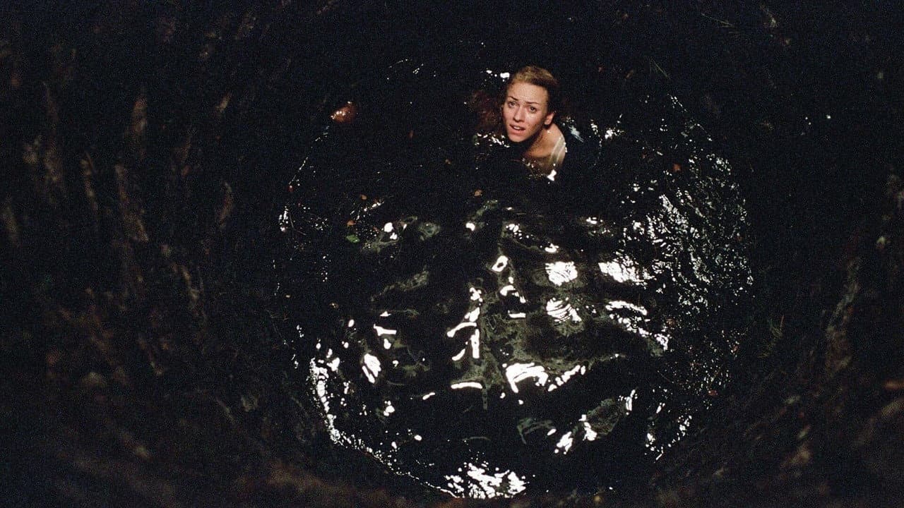 The Ring Two — backdrops 1