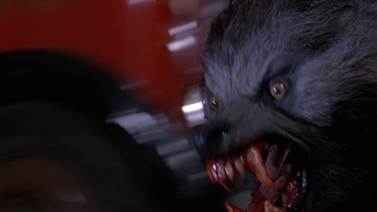 An American Werewolf in London — backdrops 2