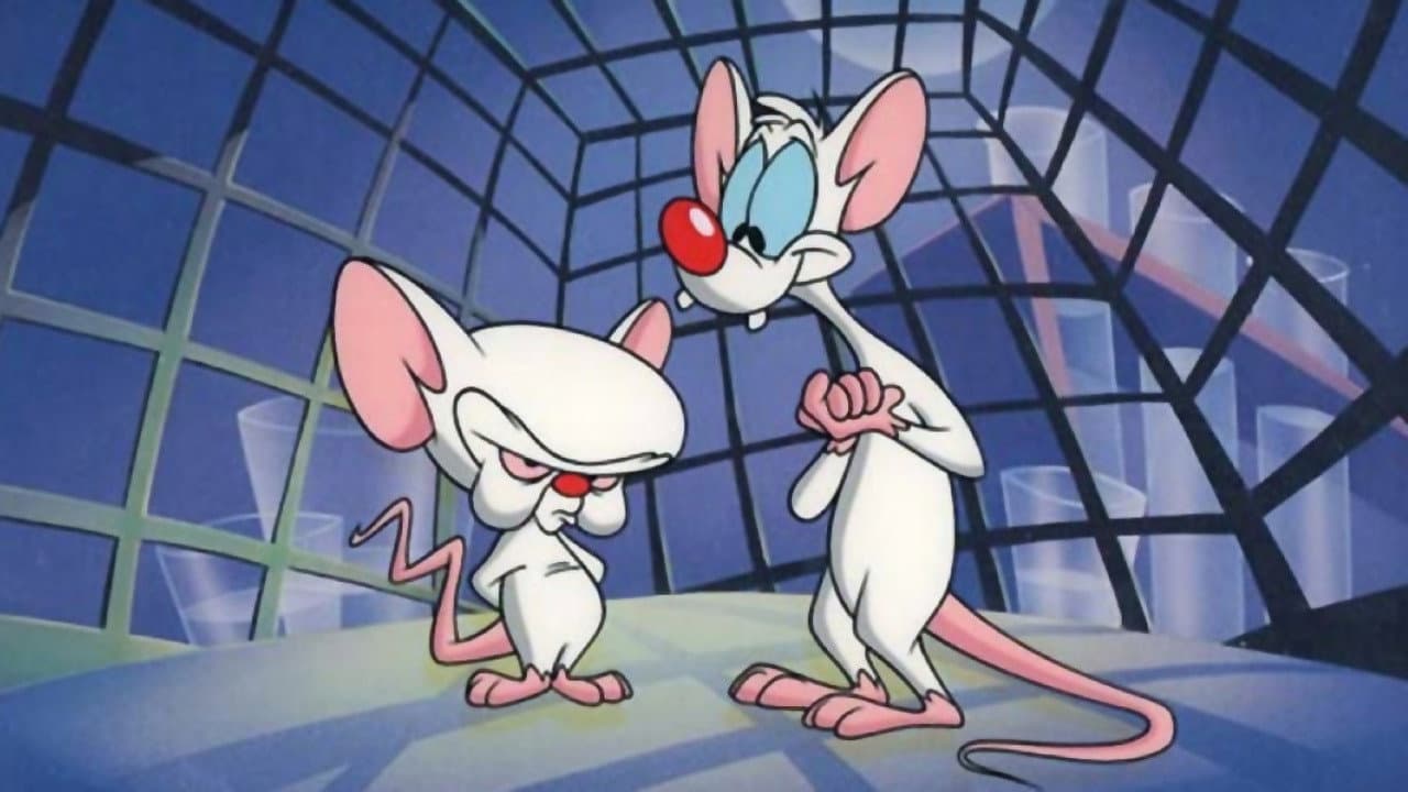 Pinky and the Brain — backdrops 4